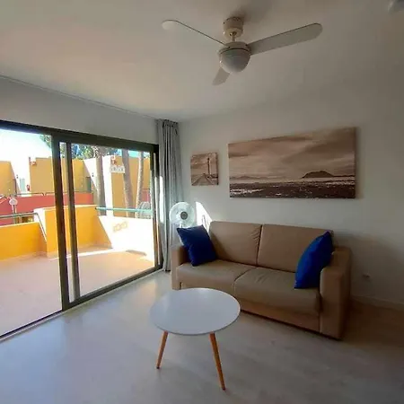 Atlantic Garden Ocean 290