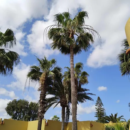 Atlantic Garden Ocean 290 * Corralejo