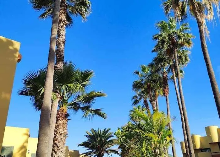 Atlantic Garden Ocean 290 Appartement *