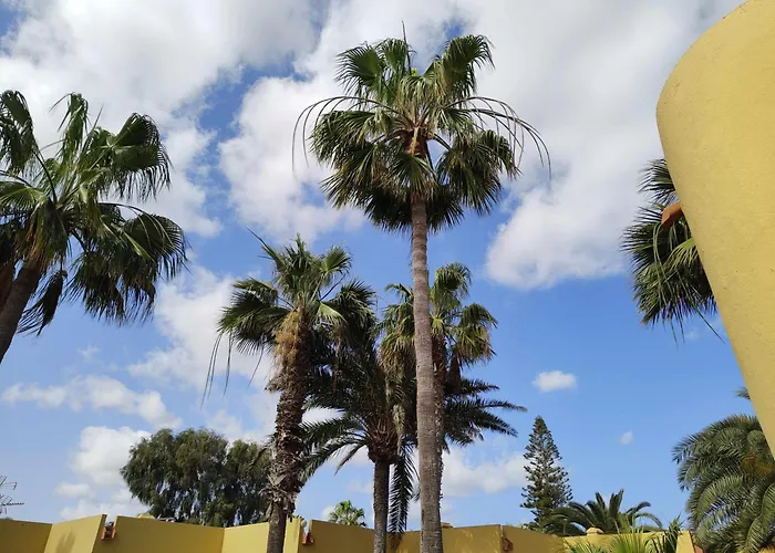 Atlantic Garden Ocean 290 * Corralejo