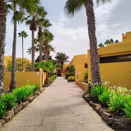 Atlantic Garden Ocean 290 * 科拉雷侯