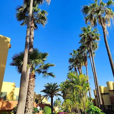 Atlantic Garden Ocean 290 公寓 *